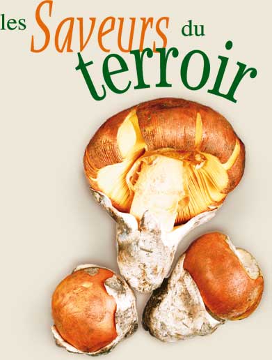 Les Saveurs du Terroire