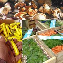 champignon